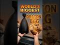 Making the world’s BIGGEST hybrid egg 🥚