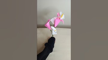 Create Gorgeous Crepe Paper Calla Lilies Easy DIY Decoration Tutorial#craft#diy#shorts