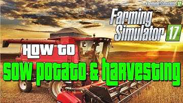 How to Sow Potato and Harvesting - Farming Simulator 17
