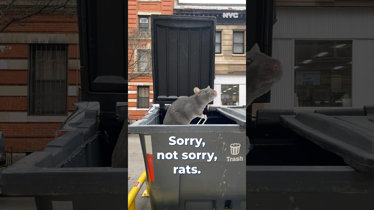 Brand NEW trash bins in #nyc