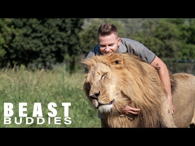 Lion King: 23-Year-Old Is Best Friends With Big Cats | BEAST BUDDIES class=