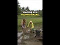 AMERICAN works in FILIPINO BASAK! 🇵🇭 (Laptrip)