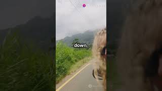 'Epic Summer Bucket List: Must-Do Adventures!' 🌞  #SummerAdventure #BucketList #TravelGoals