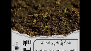 تلاوة جميلة في سورة الروم ـ بصوت أنس آوات الكاسكاني