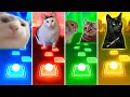 Vibing cat vs huh cat vs talking cats vs black cat  tiles hop edm rush