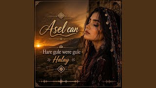 Here Gule Were Gule Halay - Asel Can