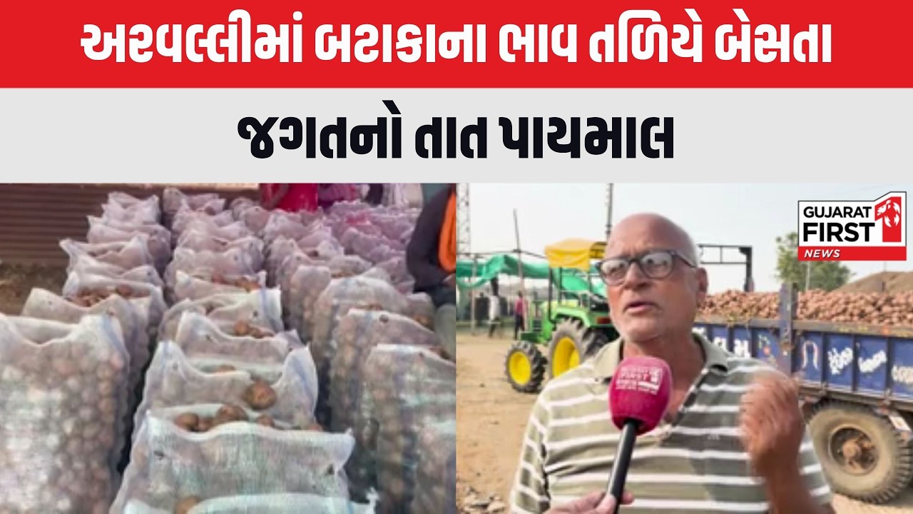 Aravalli: અરવલ્લીના ખેતરોમાં સોનું ઊગ્યું પણ બજારમાં થયો કોલસો | Gujarat First