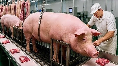 Inside the Pork Processing Factory: From Farm to Sausages & Ham (Full Process)
