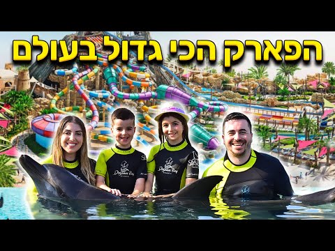 וִידֵאוֹ: מלונות עם בריכות שחייה שילדים יאהבו