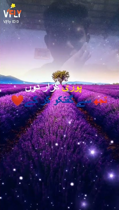 snack video all song video ringtone