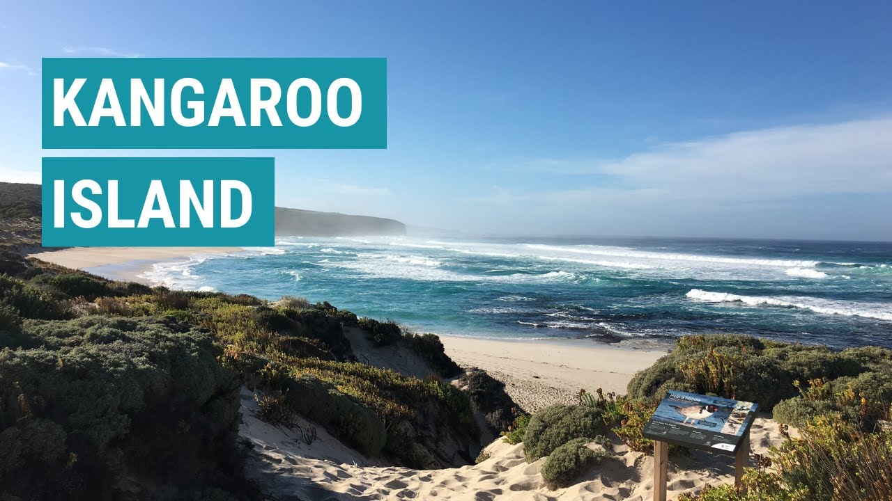 Kangaroo Island Walk & Highlights - YouTube
