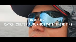 Catch Culter Alburnus in Winter with these Tips丨实战分享、翘嘴的冬季模式,深水结构 丨Lureleader