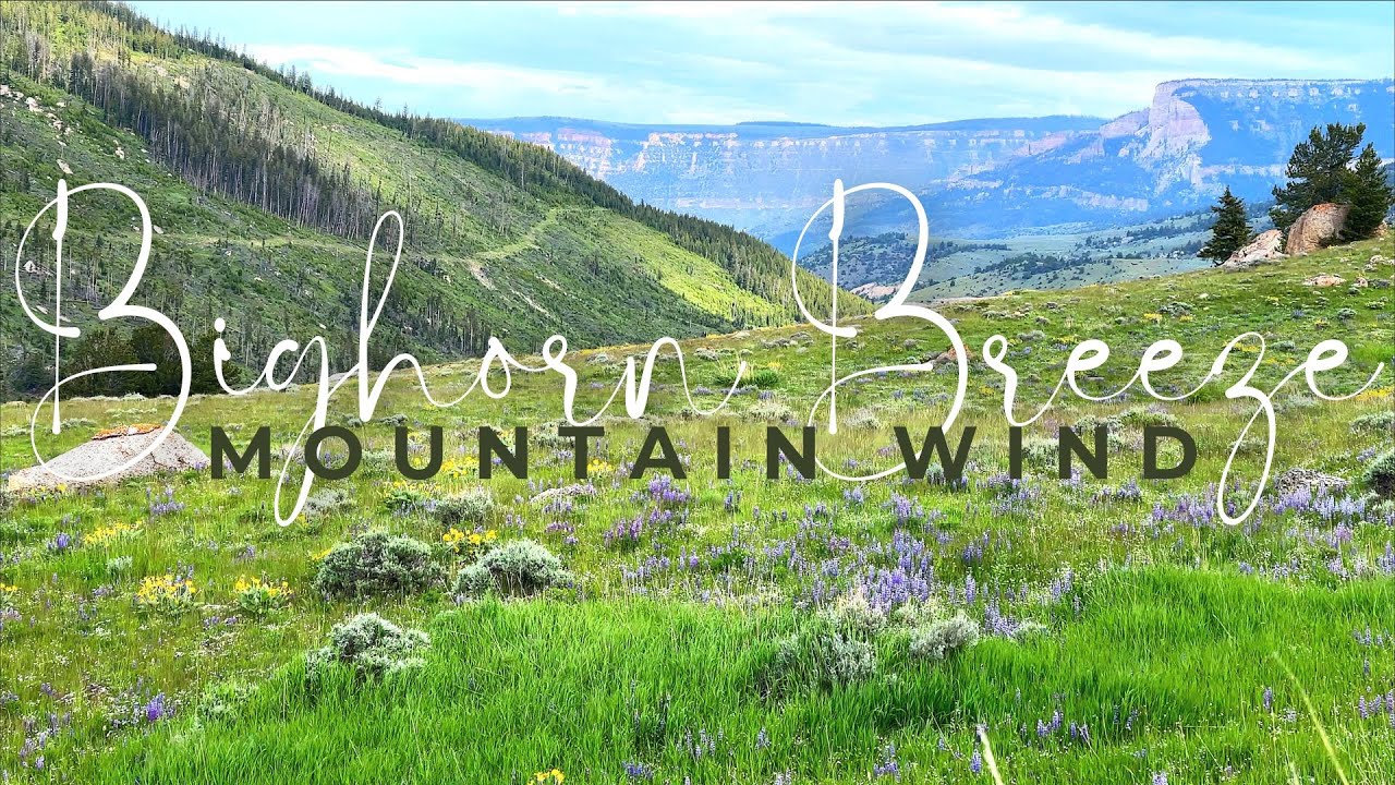 🎧 Bighorn Mountain Valley Ambience