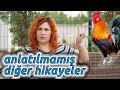 Lise Hakkında Dile Getirilmeyenler #2