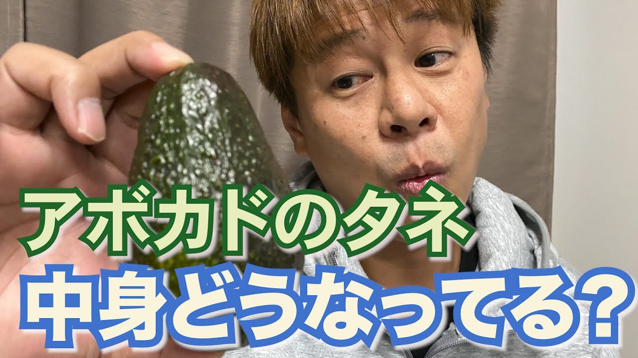 【実験】アボカドのタネを真っ二つにして中を見てみた