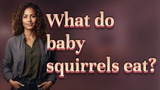 What do baby squirrels eat