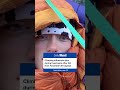 TikTok climbing star dies after falling from Yosemite’s famed El Capitan