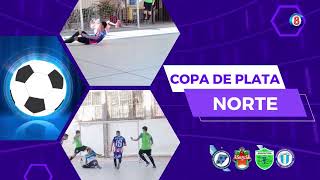 COPA DE PLATA NORTE