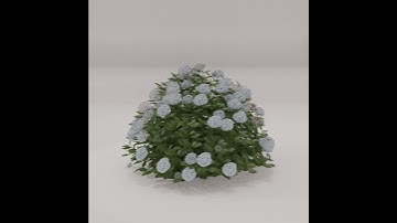 Blooming Hydrangea Animation – Procedural 3D Plant - Geometry nodes #flowers #blender #geometrynode