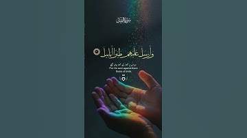 قرآن كريم سورة الفيل #قرآن #اكسبلور #قران_كريم # #سورة