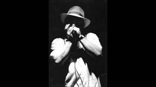 The Matthew Skoller Band  Dangerous Game