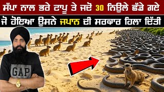 ਸੱਪਾਂ ਨਾਲ ਭਰੇ ਟਾਪੂ ਤੇ ਜਦੋ 30 ਨਿਉਲੇ ਛੱਡੇ ਗਏ ਜੋ ਹੋਇਆ ਉਸਨੇ ਜਪਾਨ ਦੀ ਸਰਕਾਰ ਹਿਲਾ ਦਿੱਤੀ 🐾🐍