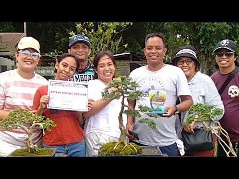 1st INVITATIONAL BONSAI SHOW AND COMPETITION, BATTLE OF NEWBIES KAMI ANG PINALAD 👏 BEST IN SHOW