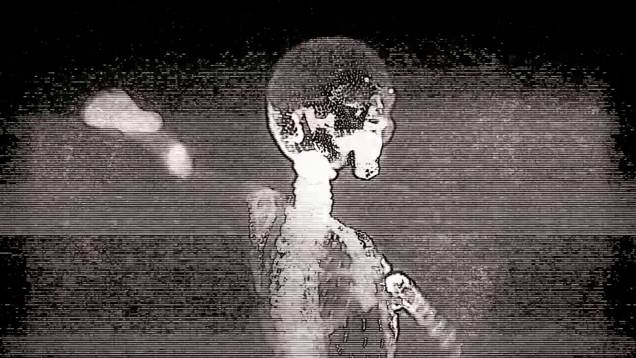 Watch The Janitors - Trojan Ghost on YouTube Watch The Janitors - Trojan Ghost on YouTube