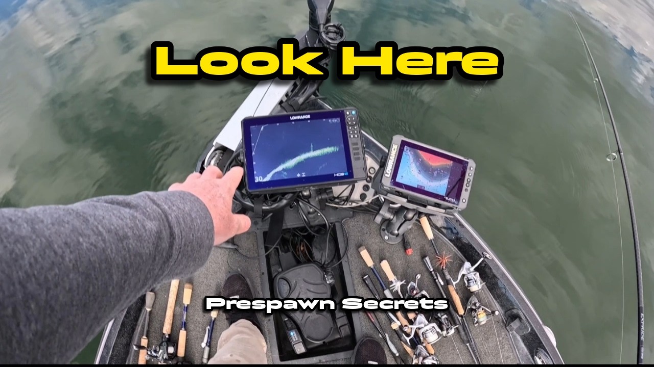 Find Bass here during the Pre Spawn Transition