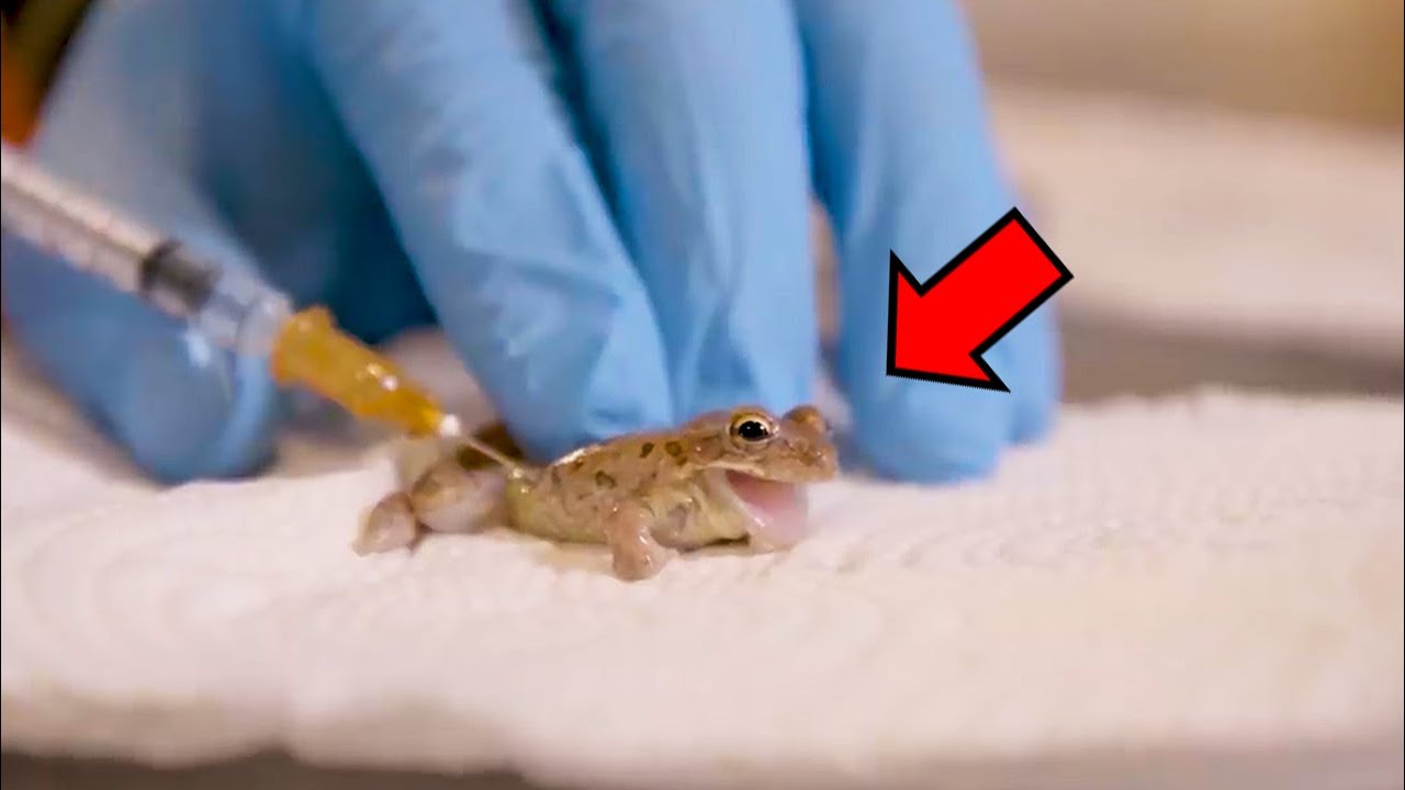 自宅で遺伝子操作を行う男…(フィクションではありません)