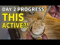 Day 2 Sourdough. Here's What Happens Next