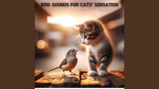 Whisker-twitching Whiskers Whisker-twitching Whiskers