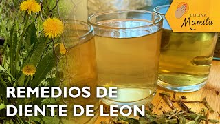 REMEDIOS DE DIENTE DE LEON | Cocina Mamita