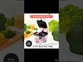 Amazon Vegetable Chopper That Saves You Time (Under $25!)