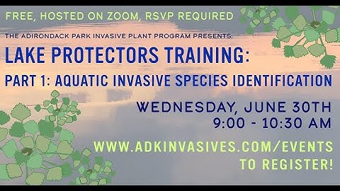 APIPP Lake Protectors Training: Part 1. Aquatic Invasive Species Identification