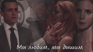 Donna + Harvey || Мы любим, мы дышим[+8x16]