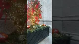 Christmas decoration on the wall of St. Patrick's Cathedral (New York City)