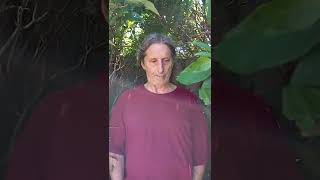Open Plea to Rio (Neody)