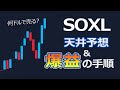 【爆益の方法】SOXLの天井予想&大局見通しアップデート【短期で儲かる】