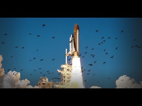 Space Shuttle Challenger Disaster