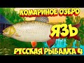 русская рыбалка 4 - Язь озеро Комариное - рр4 фарм Алексей Майоров russian fishing 4