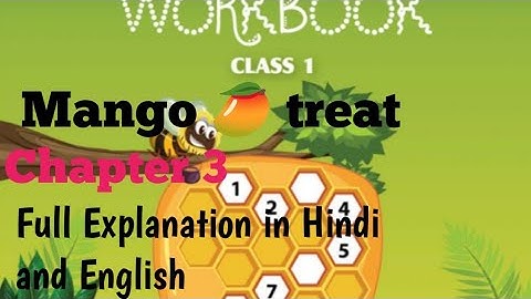 class 1#chapter 3# workbook Solutions # full Explanation in hindi and english #mango treat 🥭