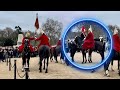 Special appearance of corporal major carrying the standard full parade 