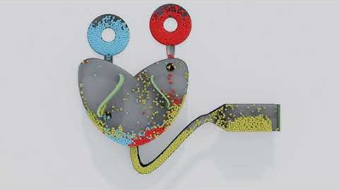 Particle Simulation #79 : Move Like Fluid Simulation