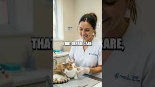 Hidden Microbiomes Behind a Cat's Belly