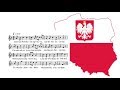 Лекция «Ещё Польша не погибла…»  (к 100-летию восстановления независимости). Читает ак. А.В.Липатов