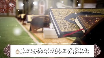 تلاوة هادئة للقرآن الكريم لما تيسر من سورة فصلت