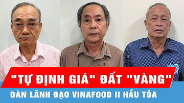 "Tự định giá" đất "vàng" 132 Bến Vân Đồn, dàn lãnh đạo Vinafood II hầu tòa