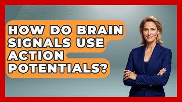 How Do Brain Signals Use Action Potentials? - Neurotech Insight Pro