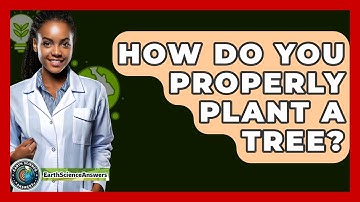 How Do You Properly Plant A Tree? - Earth Science Answers